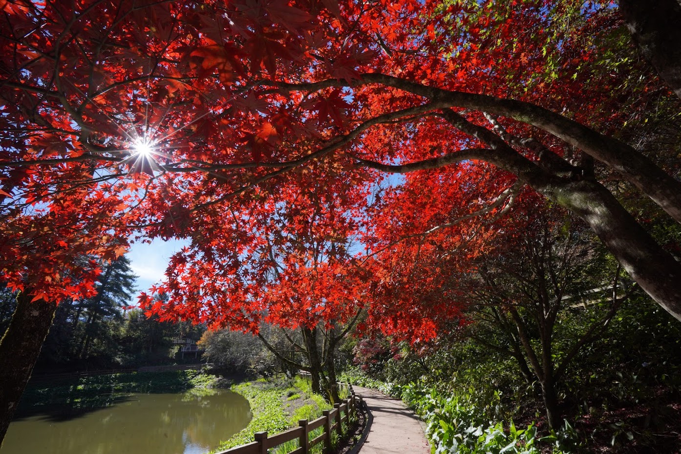 鴛鴦湖步道