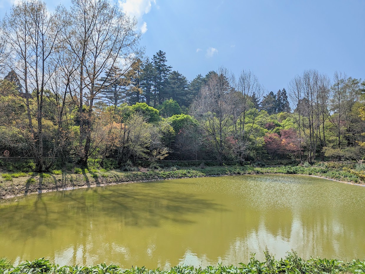 鴛鴦湖步道