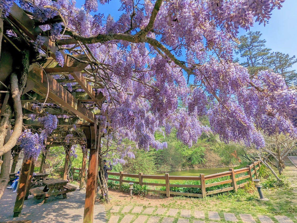 鴛鴦湖步道